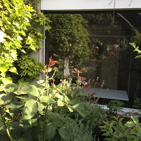 Gastezimmer Fischergarten Σολοθούρν Εξωτερικό φωτογραφία