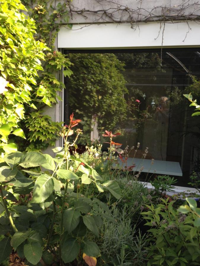 Gastezimmer Fischergarten Σολοθούρν Εξωτερικό φωτογραφία