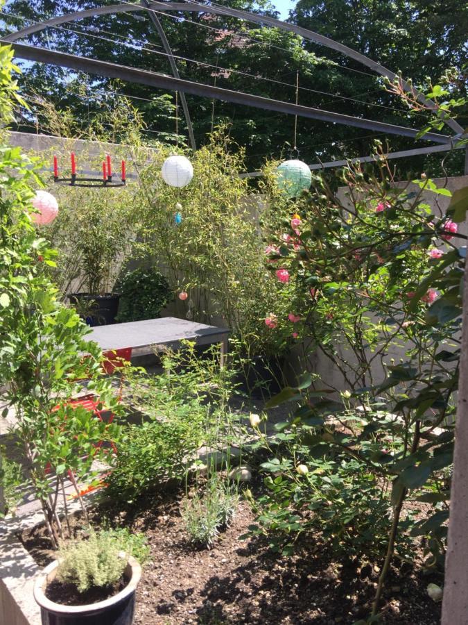 Gastezimmer Fischergarten Σολοθούρν Εξωτερικό φωτογραφία