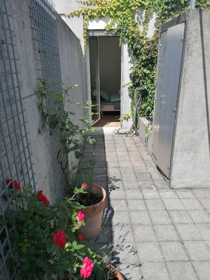 Gastezimmer Fischergarten Σολοθούρν Εξωτερικό φωτογραφία