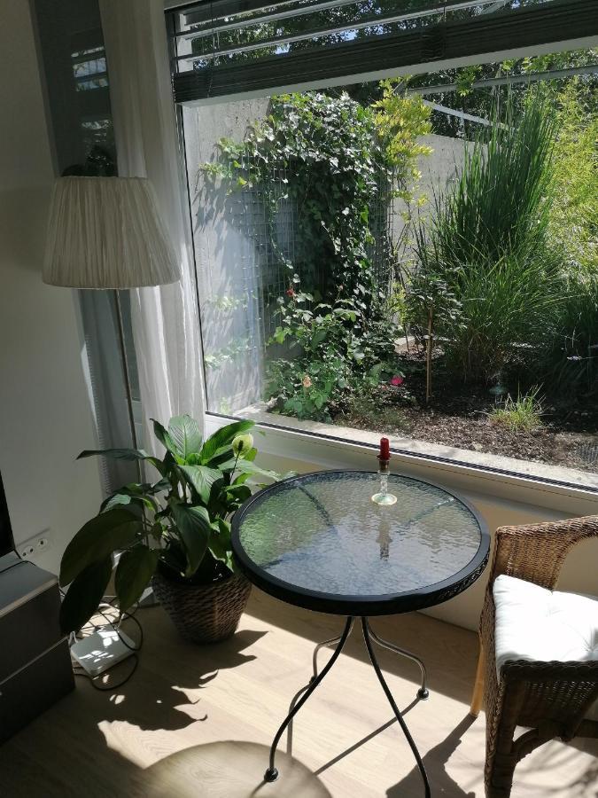 Gastezimmer Fischergarten Σολοθούρν Εξωτερικό φωτογραφία